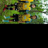 Gambar riwayat taufik fadli