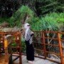 Gambar riwayat Ici Livia