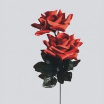 Gambar riwayat Intan Azzahra