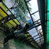Gambar riwayat Afdholia Airin