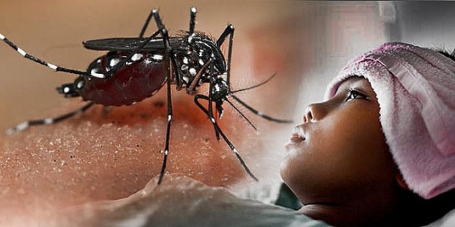 Un residente de Silicon murió de dengue