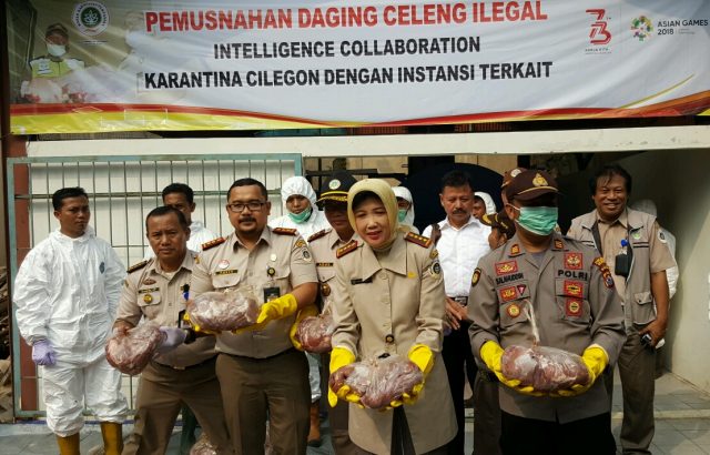 Banun Harpini