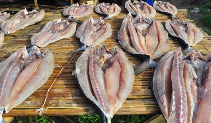 Keseringan Konsumsi Ikan Asin Awas Risiko Kanker 