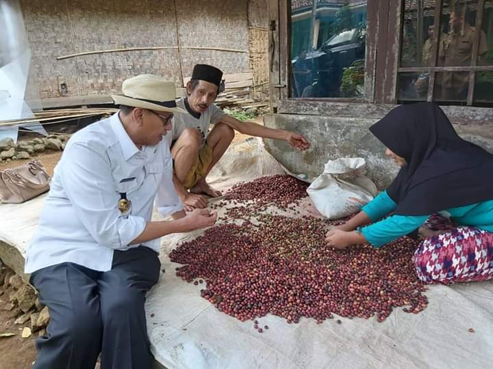 Hasil gambar untuk Kopi banten