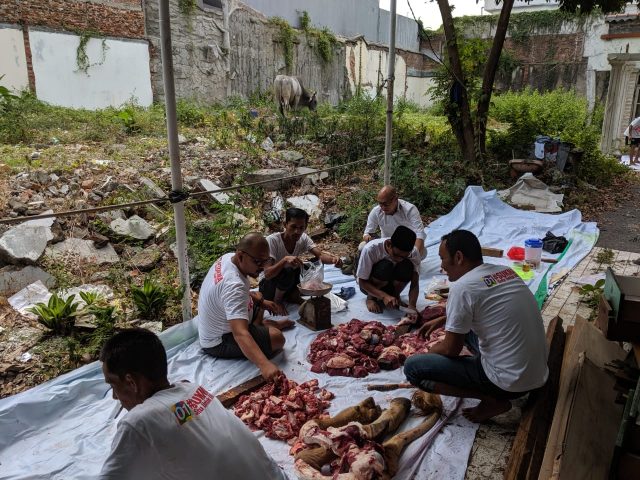 IMG-20190812-WA0012