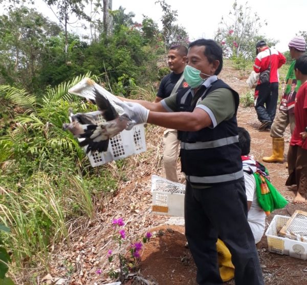 Penyelundupan Ratusan Burung Asal Lampung Digagalkan di Cilegon - BantenNews.co.id