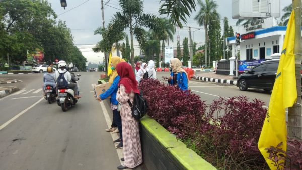PMII