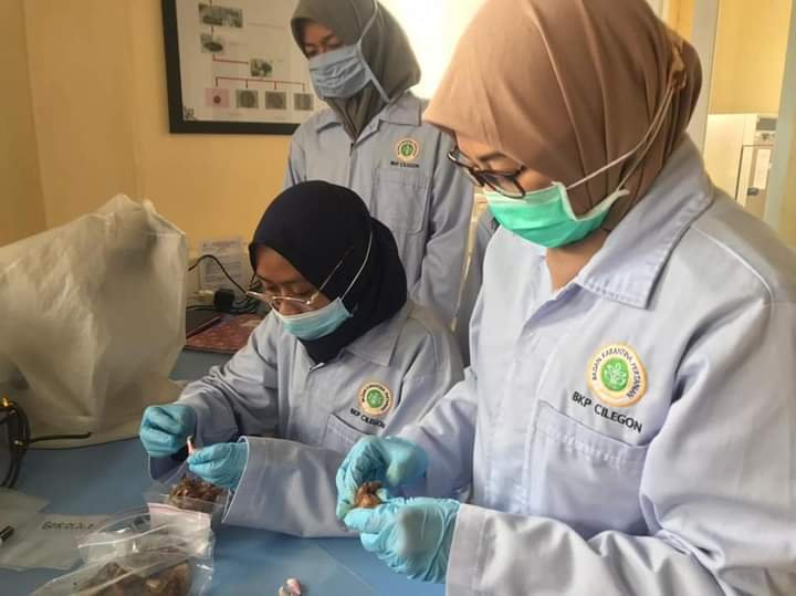 Lowongan Kerja Warujayeng Nganjuk Info Cpns Nganjuk 2019