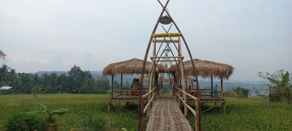 Menikmati Kampung Wisata Edukasi Di Ciomas | Bantennews.co.id -Berita Banten Hari Ini
