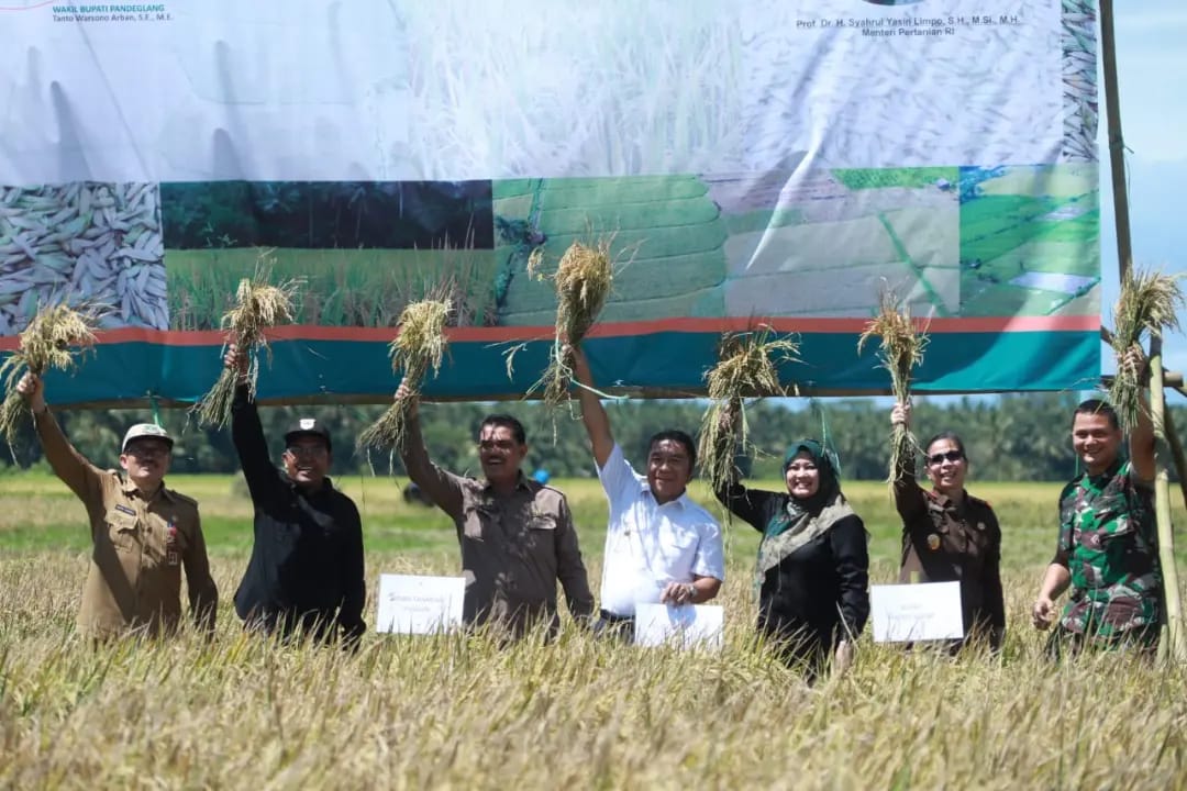 Banten Naik Kelas Jadi Peringkat Delapan Lumbung Padi Nasional