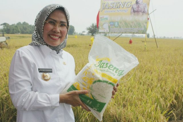 Bupati Serang Bupati Serang Ratu Tatu Chasanah mendapat penghargaan Satyalancana Wira Karya dari Presiden Republik Indonesia Joko Widodo (Jokowi).