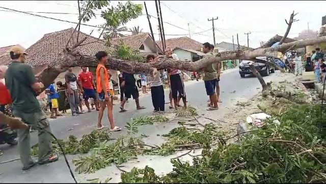 Pohon tumbang menghalangi jalan di Lebak, Banten.