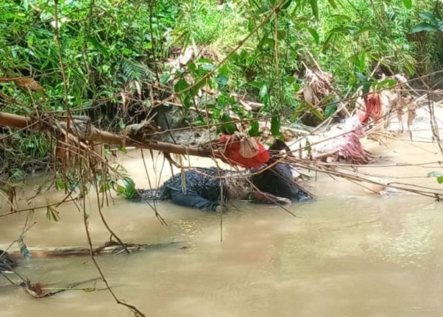 Mayat pria ditemukan mengambang di Sungai Cibanten.
