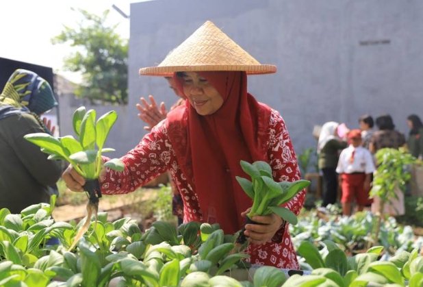 KWT Jalatrang Kurangi Pengeluaran Warga Rp72 Juta Bulanan dengan Produktivitas Pekarangan