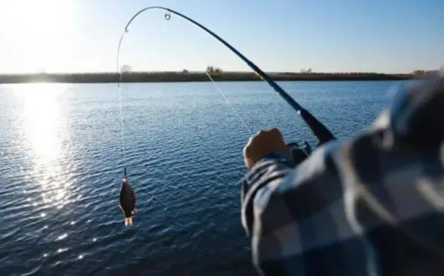Mancing